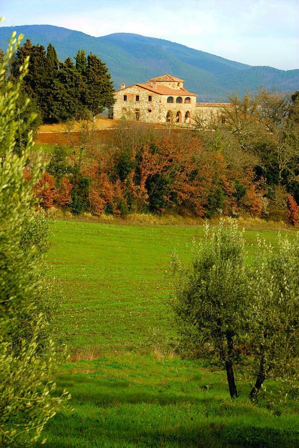 Casali Di Casole - Timbers Tuscany Casole dʼElsa Dış mekan fotoğraf