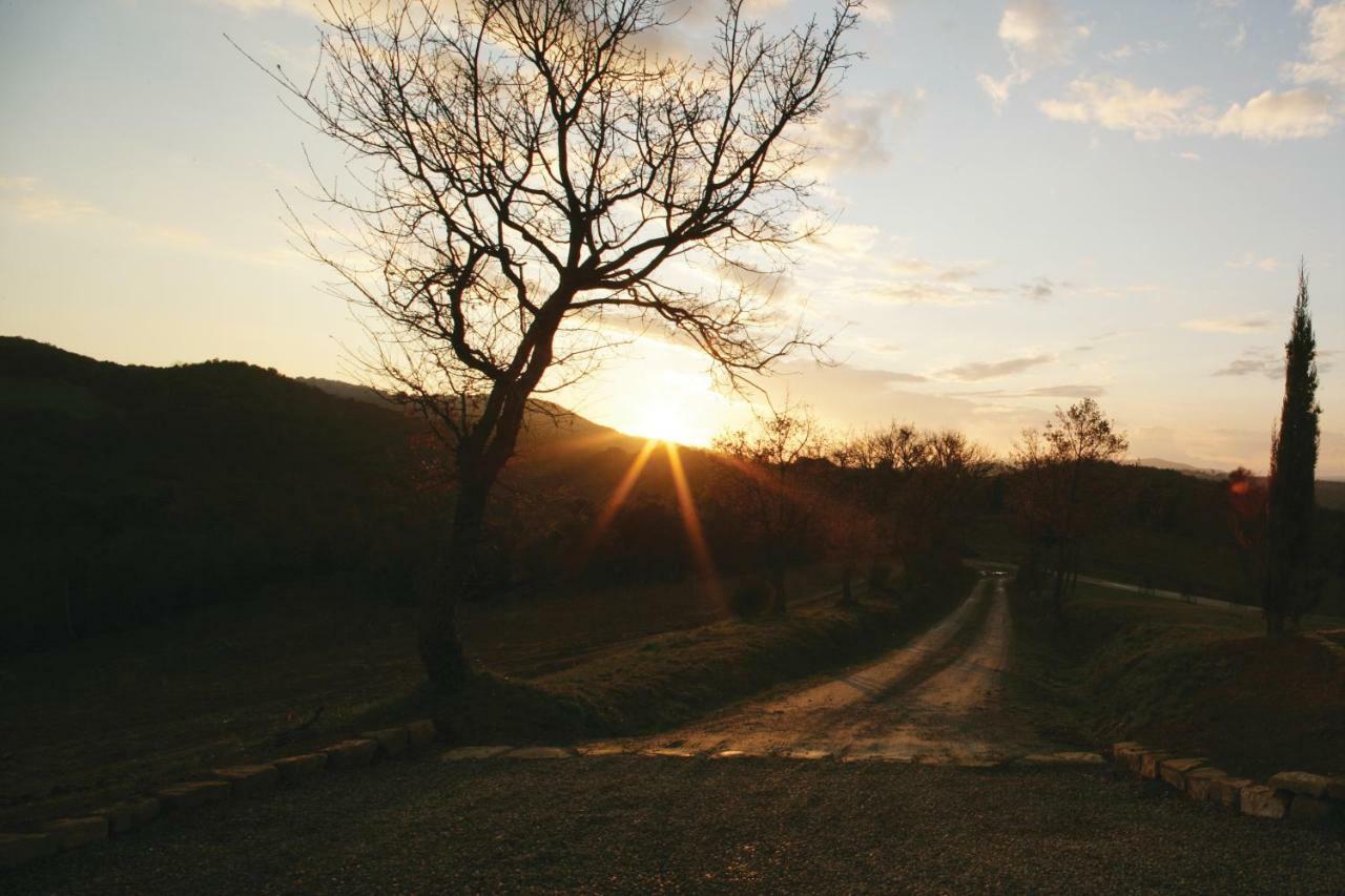 Casali Di Casole - Timbers Tuscany Casole dʼElsa Dış mekan fotoğraf